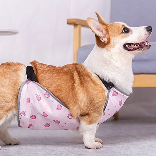 Corgi Special Apron Waterproof Anti-dirty Dog Summer Stomach Protection Anti-cold Small Dog Clothes Corgi Clothe Pet Clothes