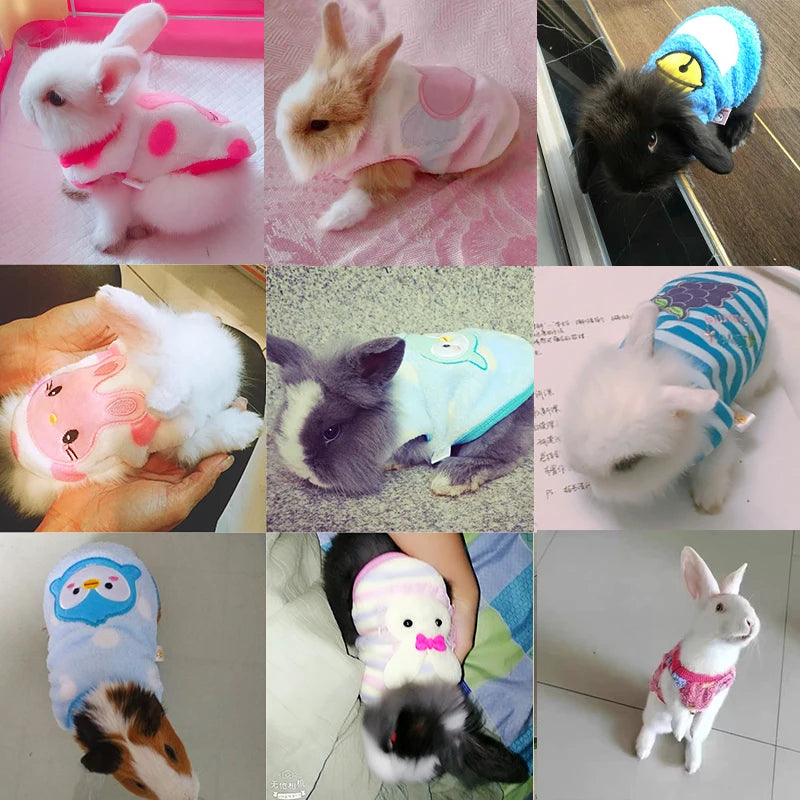 Bunny Autumn And Winter Warm Pullover Vest Rabbit Turned Into Clothing Lop-eared Rabbit Out Photo Accessories Small Pet Supplies