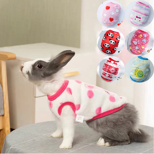 Bunny Autumn And Winter Warm Pullover Vest Rabbit Turned Into Clothing Lop-eared Rabbit Out Photo Accessories Small Pet Supplies