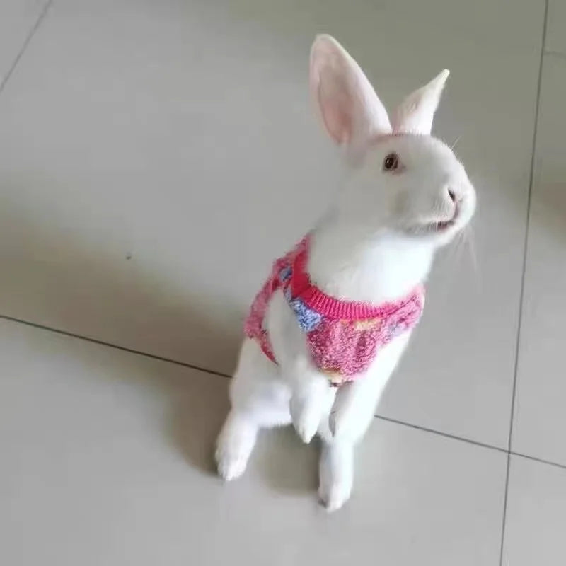 Bunny Autumn And Winter Warm Pullover Vest Rabbit Turned Into Clothing Lop-eared Rabbit Out Photo Accessories Small Pet Supplies