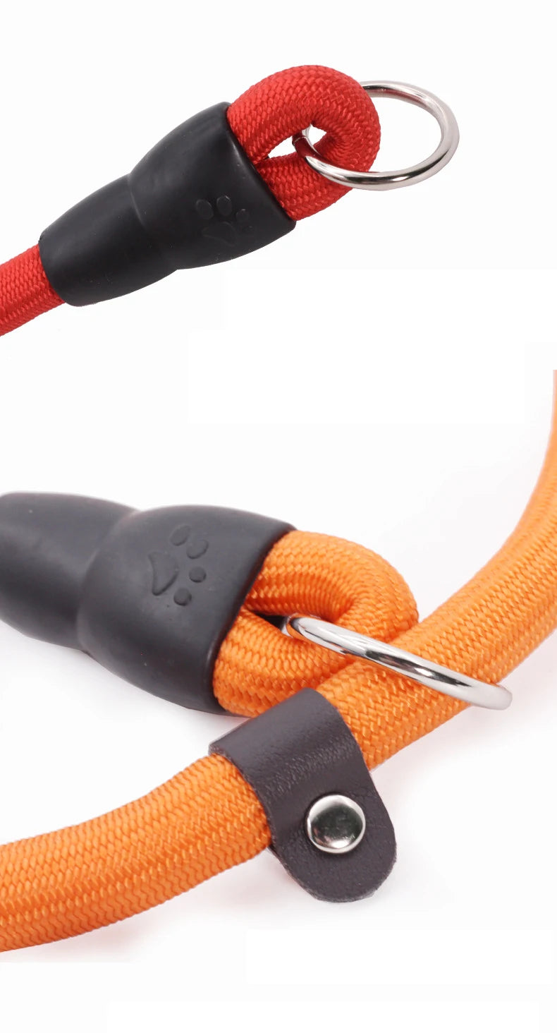 Pet P Chain Nylon Collar Dog Training Accessories Teddy Small Corgi Border Collie Medium Golden Retriever Large Dog Use Durable