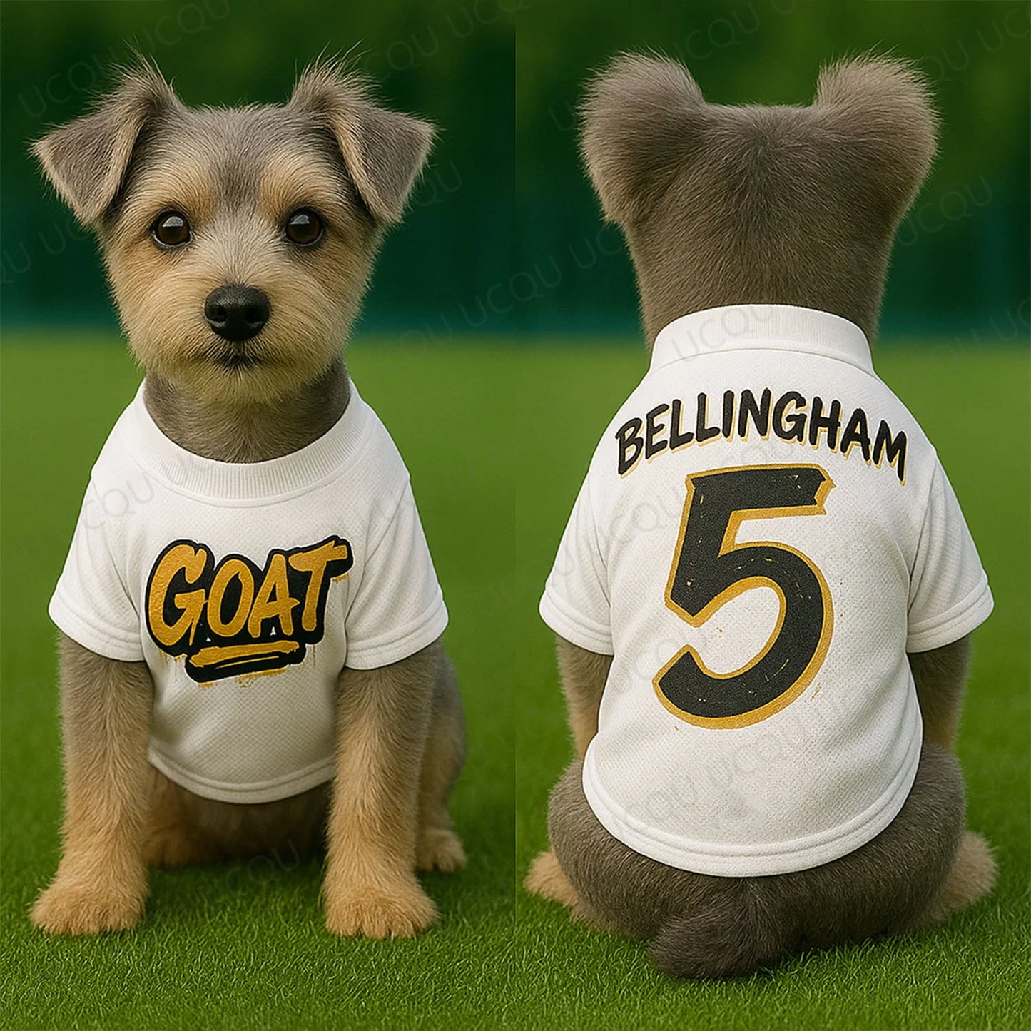 Bellingham #5 Pet Soccer Jersey