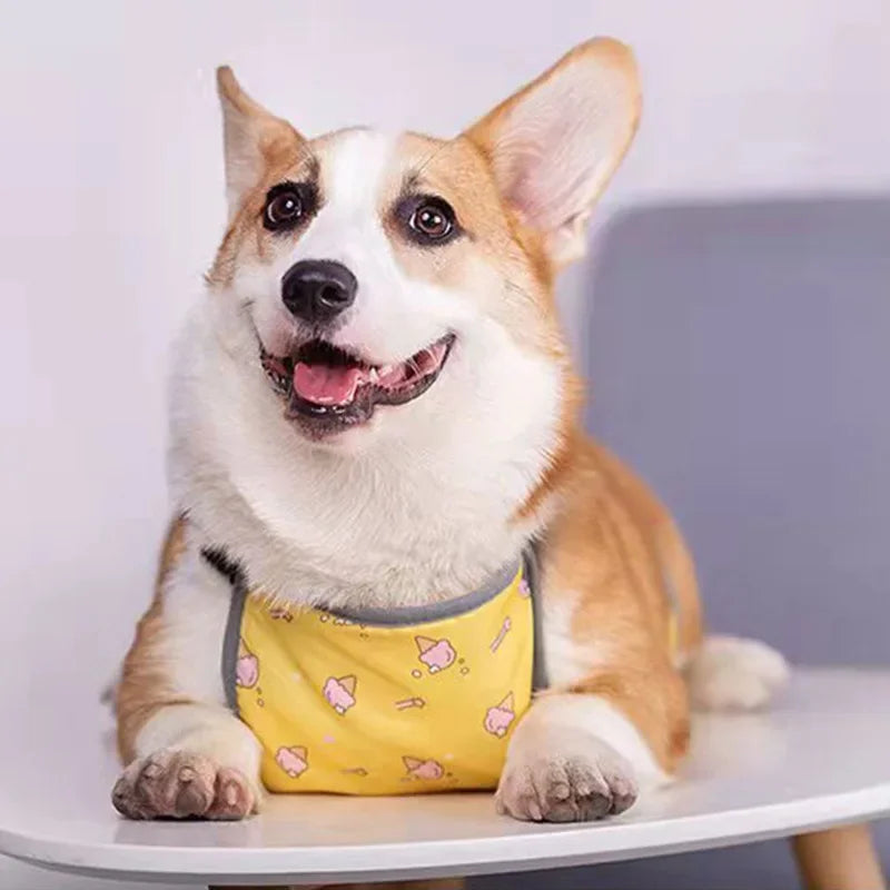 Corgi Special Apron Waterproof Anti-dirty Dog Summer Stomach Protection Anti-cold Small Dog Clothes Corgi Clothe Pet Clothes