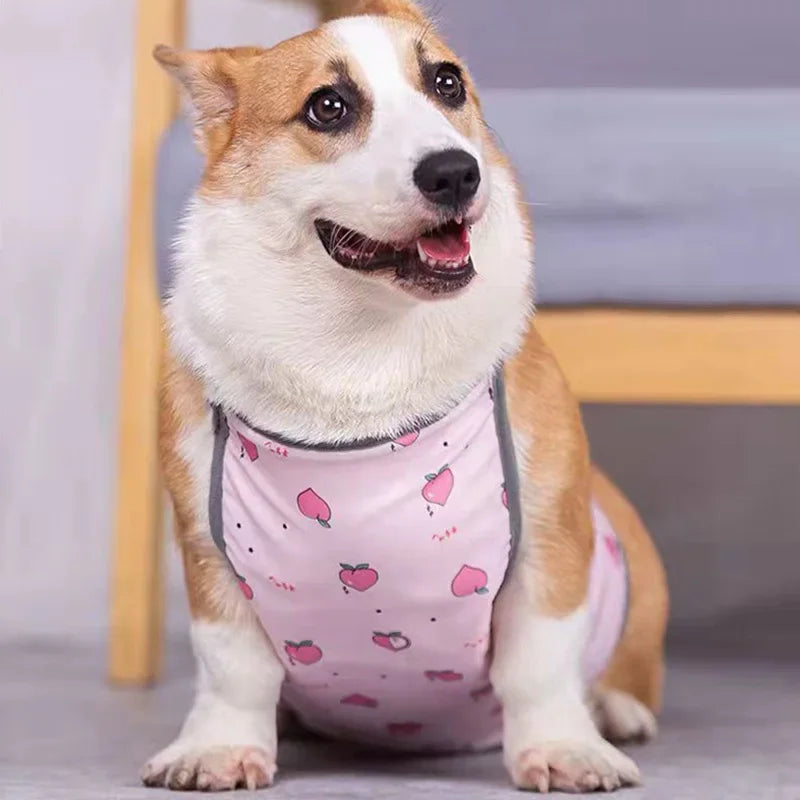 Corgi Special Apron Waterproof Anti-dirty Dog Summer Stomach Protection Anti-cold Small Dog Clothes Corgi Clothe Pet Clothes
