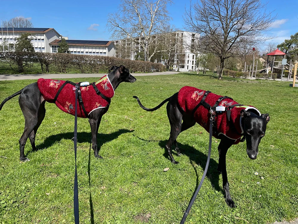 Warm Pet Dog Sweater Winter Soft Fleece Pet Jackets for Whippet Greyhound Suit Sports Dog Clothes