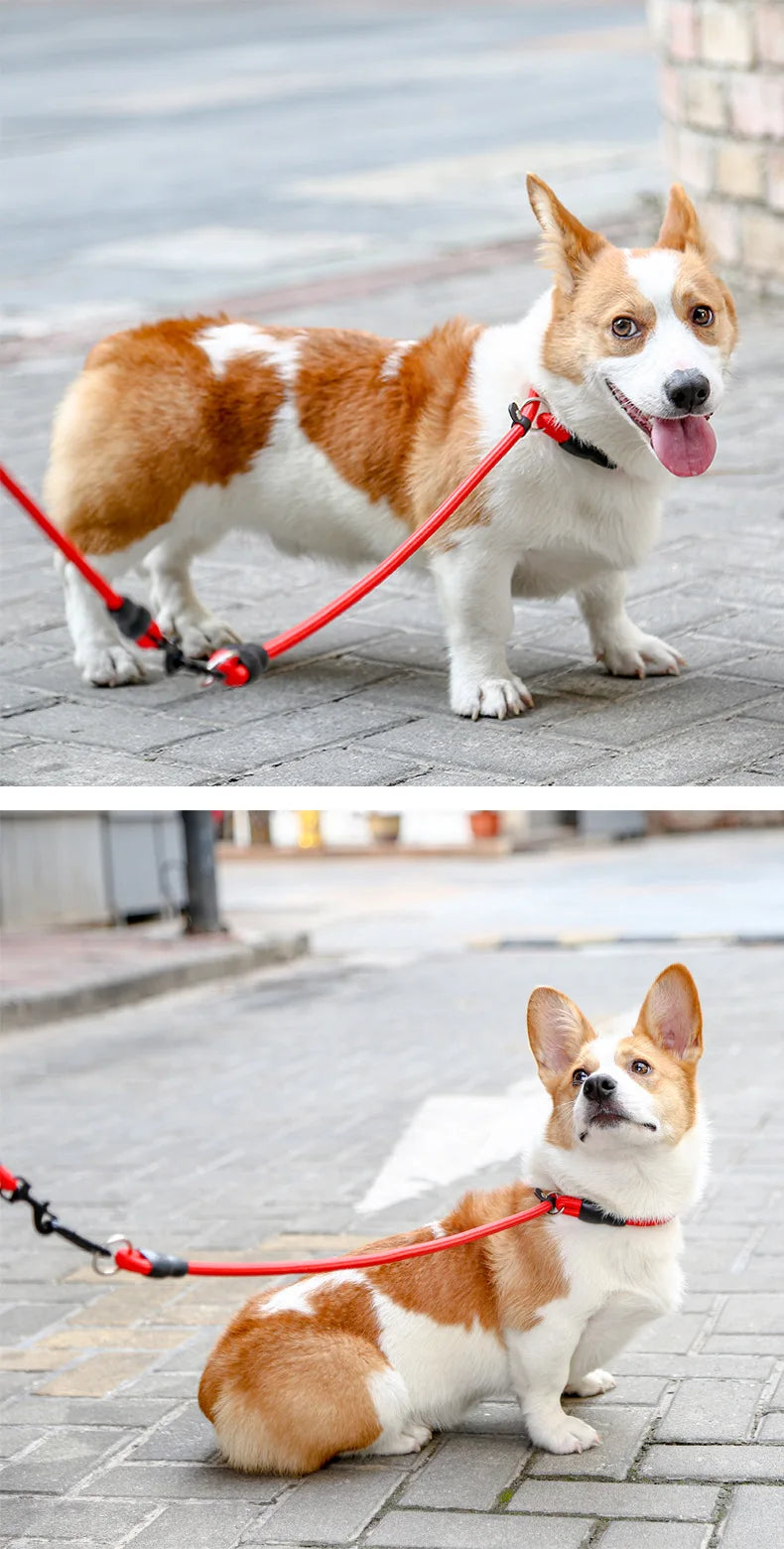 Pet P Chain Nylon Collar Dog Training Accessories Teddy Small Corgi Border Collie Medium Golden Retriever Large Dog Use Durable