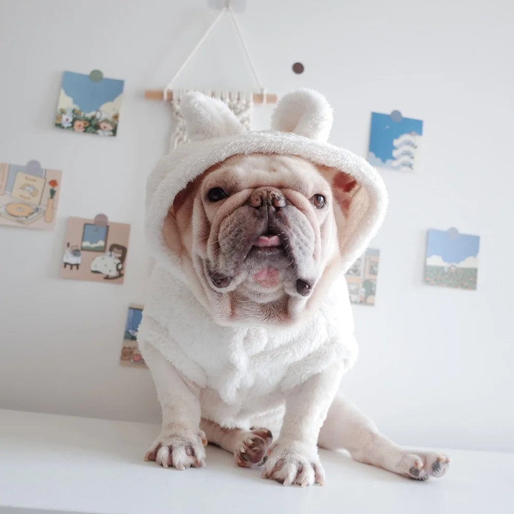 Winter Pet Dog Clothes Dogs Coat Jacket Cotton Ropa Perro French Bulldog Clothing Cute Dog Hoodie For Dogs Pets Clothing Pug